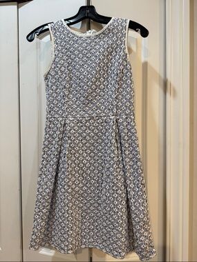 Brooks Brothers Blue and White Sleeveless Fit-and-Flare Dress